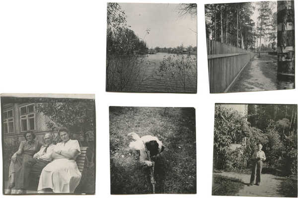 Двадцать девять фотографий с дачи В.Г. Лидина (интерьеры, экстерьеры, участок) Переделкино, улица Серафимовича, дача 14